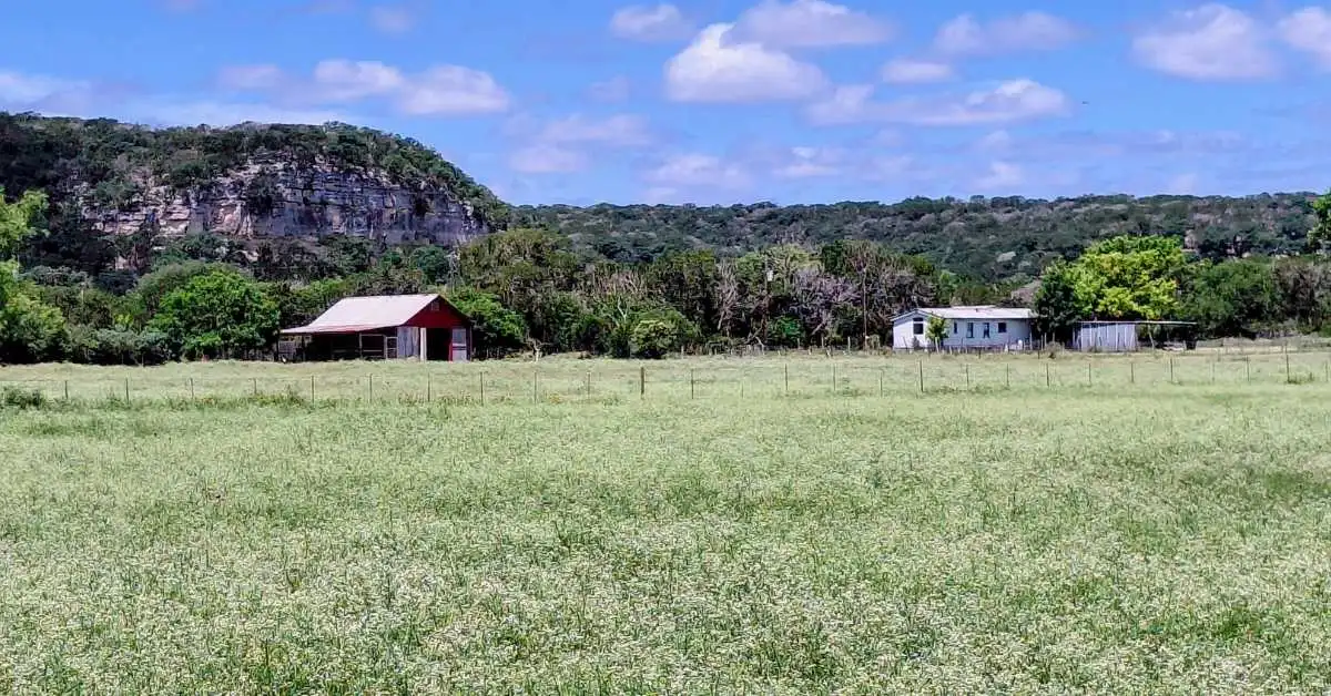 tiny homes on foundation in Texas Hill Country